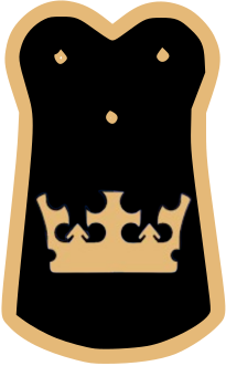 Crown Knights Capes