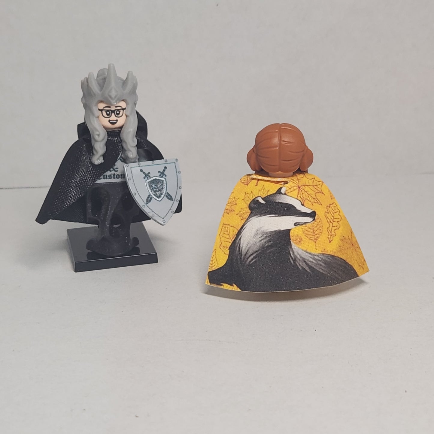 Custom HP House Capes